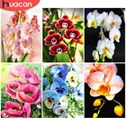 Алмазная вышивка HUACAN 5D Орхидея Панси алмазная живопись наборы цветочной мозаики наборы для вышивки крестиком Украшение стен