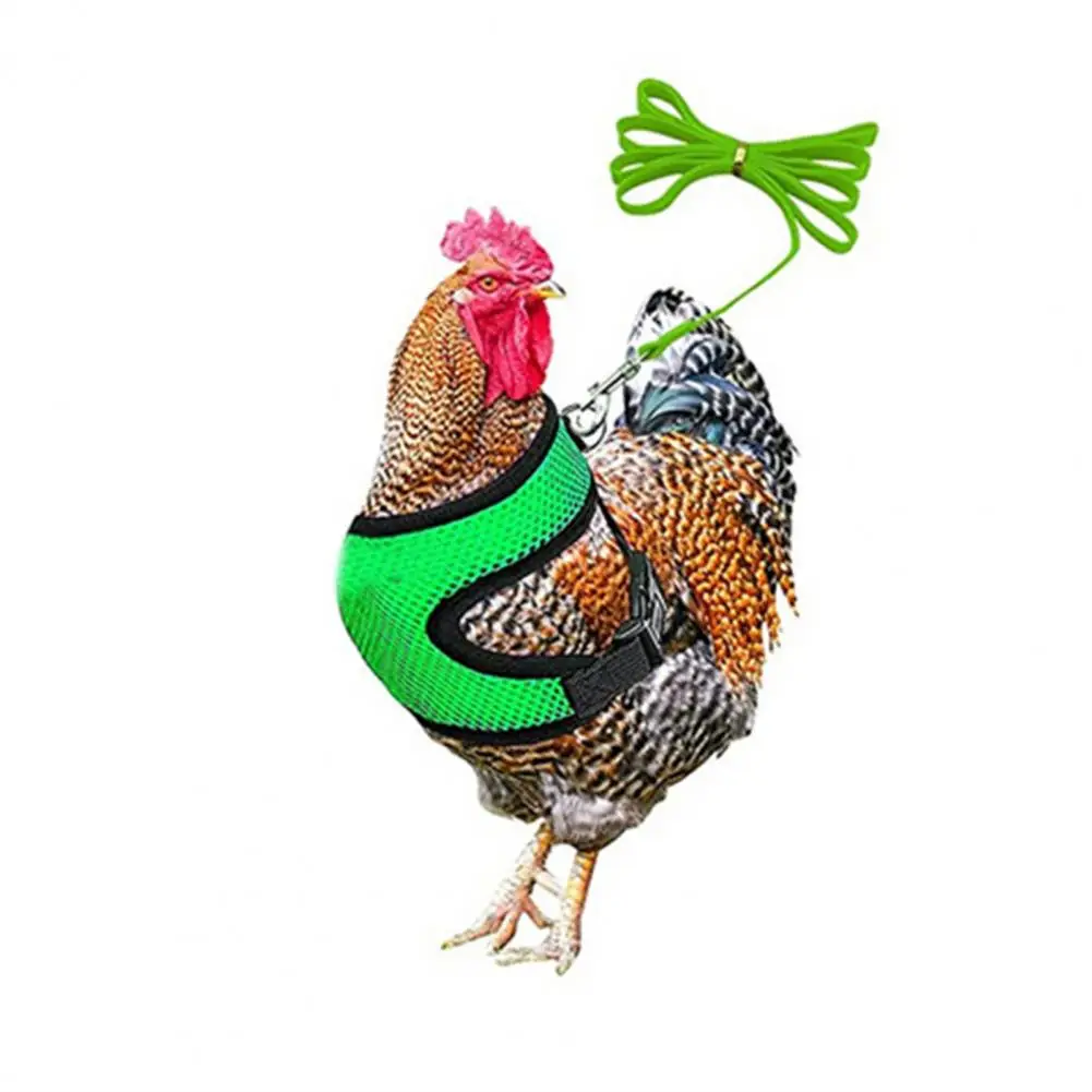 

Poultry Harness Stylish Unisex Skin-friendly Poultry Training Traction Rope for Backyard Poultry Leash Chicken Harness