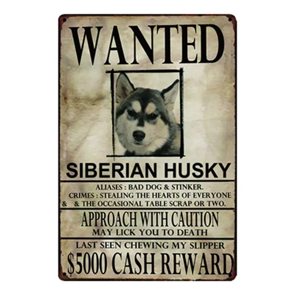 

Siberian Husky Dogs Wanied Metal Sign Tin Poster Home Decor Bar Wall Art Painting 20*30 CM Size