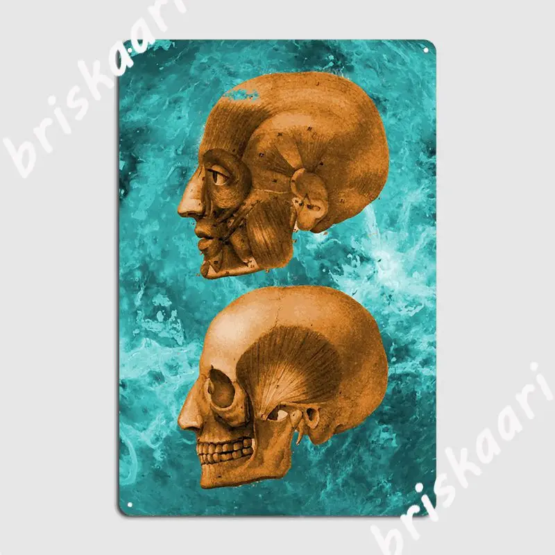 

Череп дизайн 2 металлический знак паб пещера паб печатная стена фотоплакат