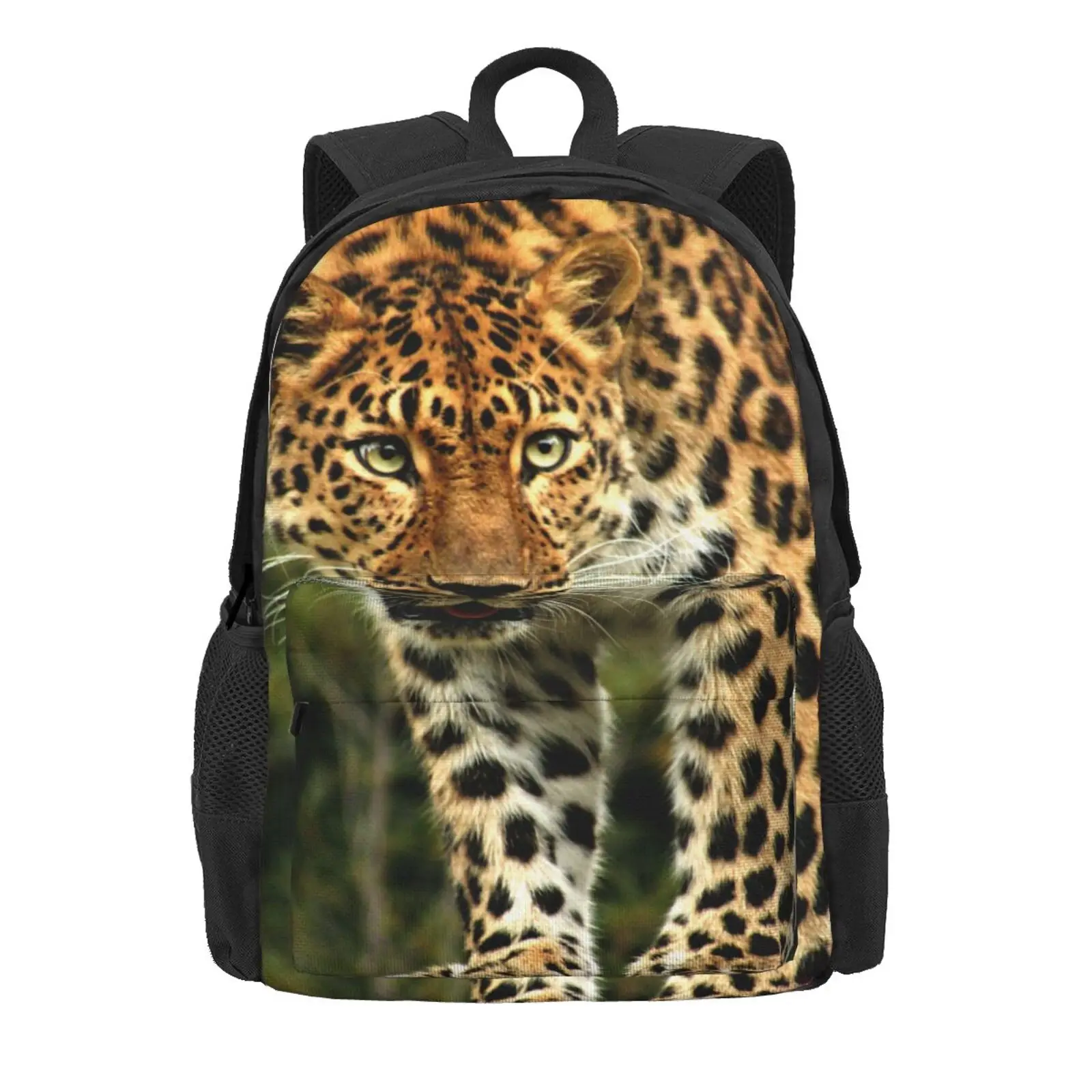 

Leopard 5 school bags School Bag Bags School Bags Backpack Pencil Cases Plaid Backpack
