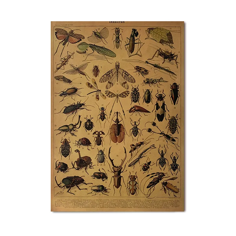 

Винтажный постер DIYOUNG растения на крафтовой бумаге