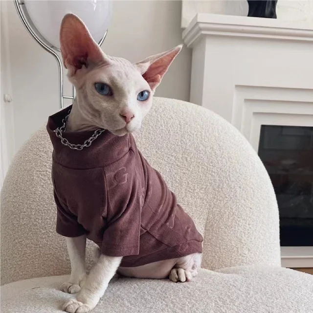 Super Cute Funny Sphynx Cat in Hoodie · Creative Fabrica