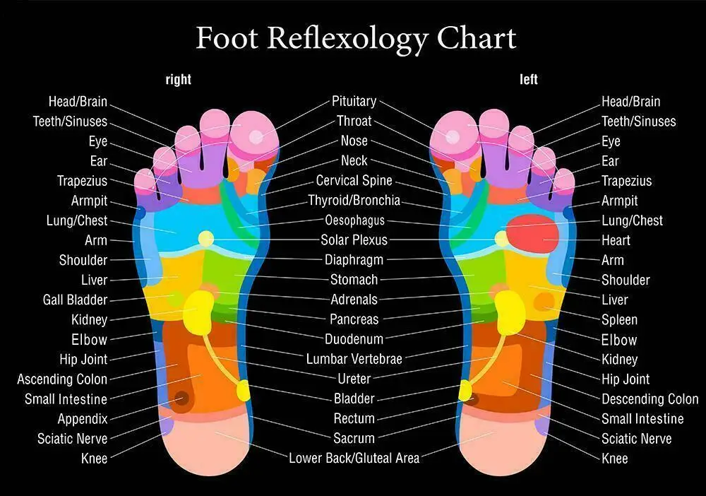 

5style Choose Reflexology Foot Chart Print Art Canvas Poster For Living Room Decoration Home Wall Picture