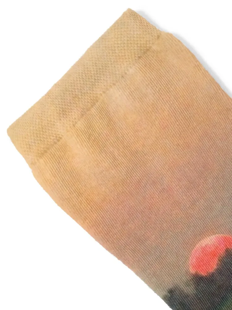 Джулс Бретон. Песня Lark 1884. Носки Обувь для велоспорта роскошные женские носки