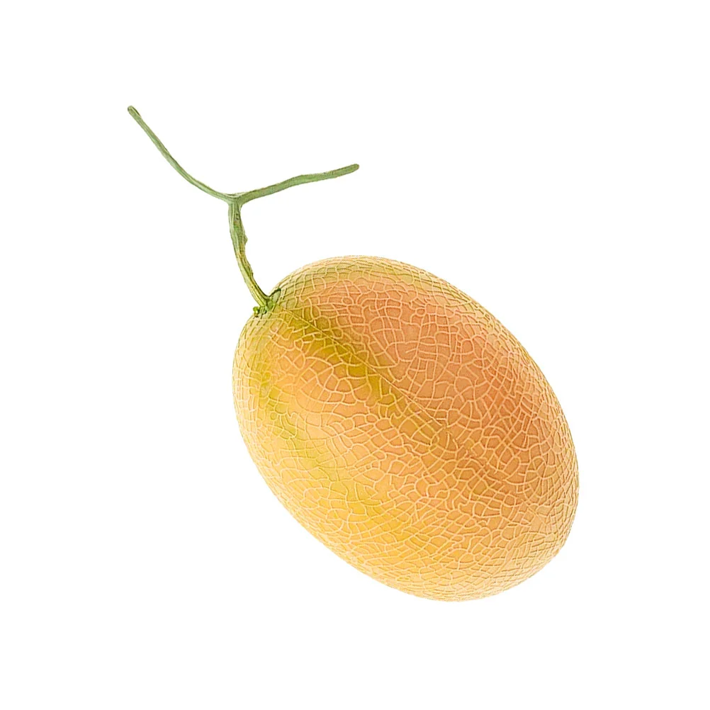 

Fruit Cantaloupe Model Artificial Fake Faux Prop Decoration Realistic Lifelike Simulation Melon Veggie Vegetables Decor Display