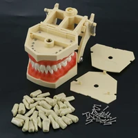 dental restorative typodont teeth model 32pcs removable teeth frasaco ag3 type