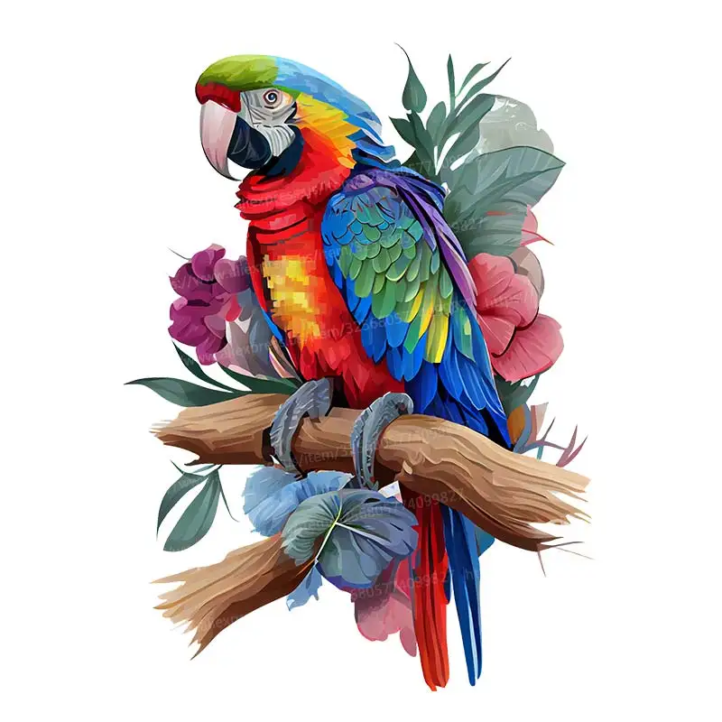 

ПВХ наклейка на стену с попугаем M758