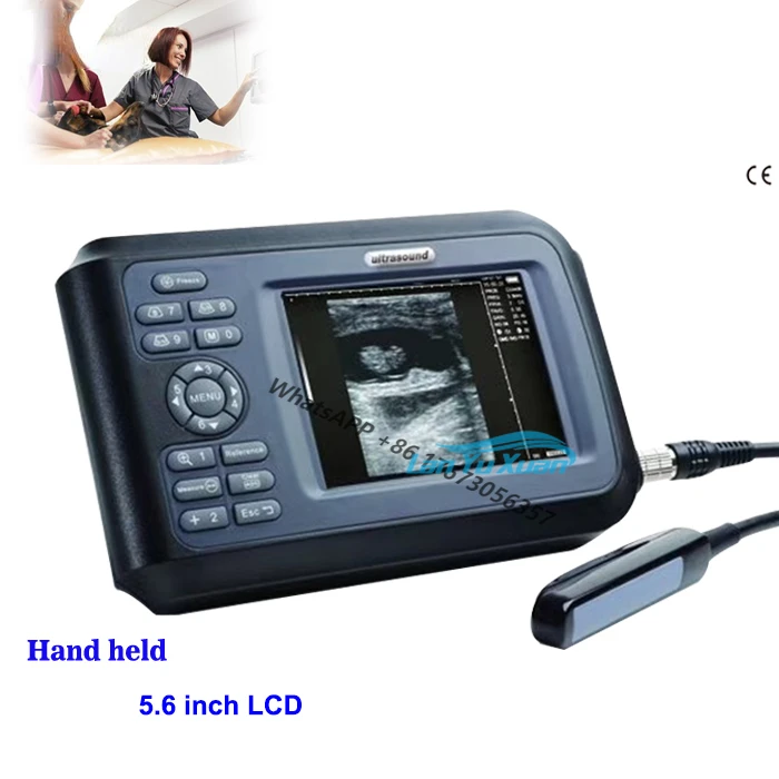 

Handheld Portable 5 Inches Cows Ultrasound Digital Ultrasound for Veterinary Use