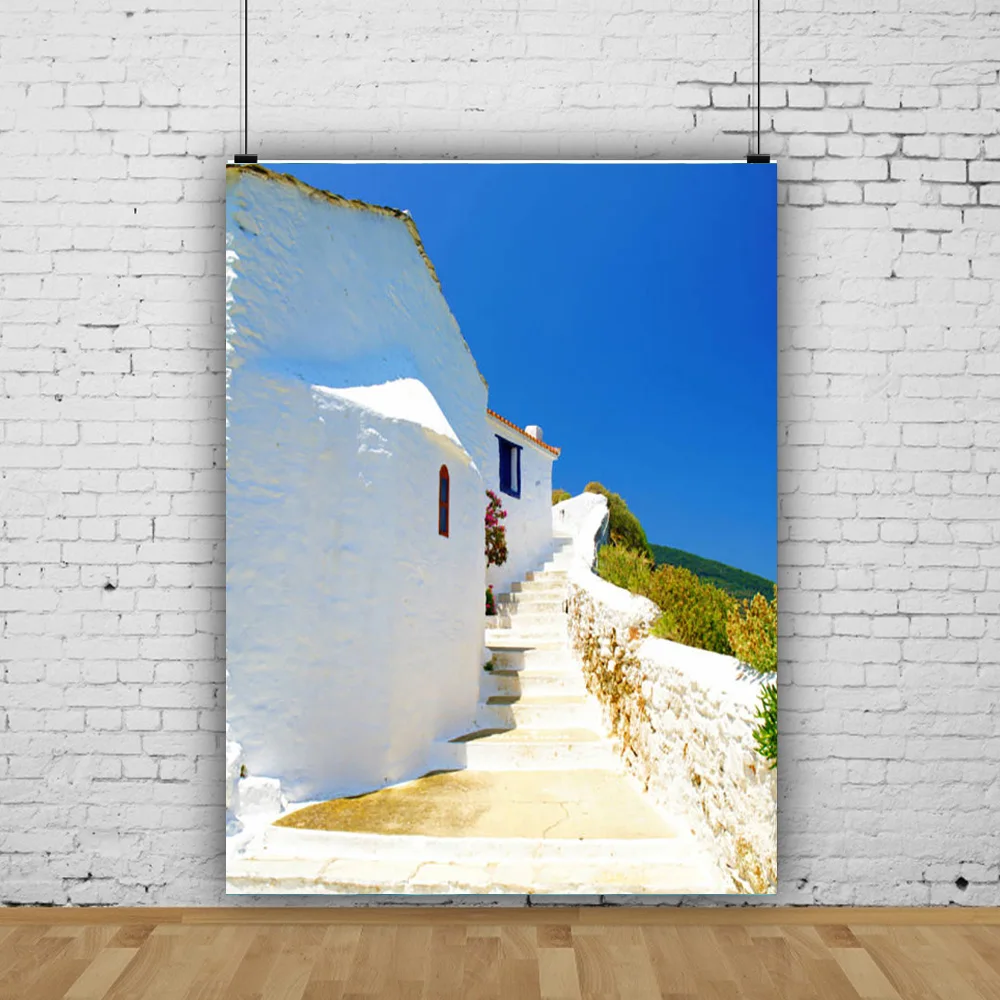 

The Blue Dome Church on Santorini Island Greece and the Natural Scenery of the Aegean Sea Photographic Background Props HL-03