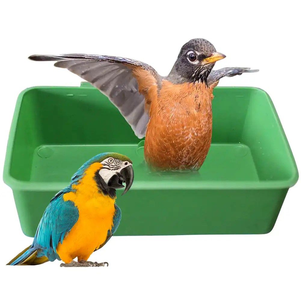 

Подвесная зеленая коробка для душа в виде попугаев