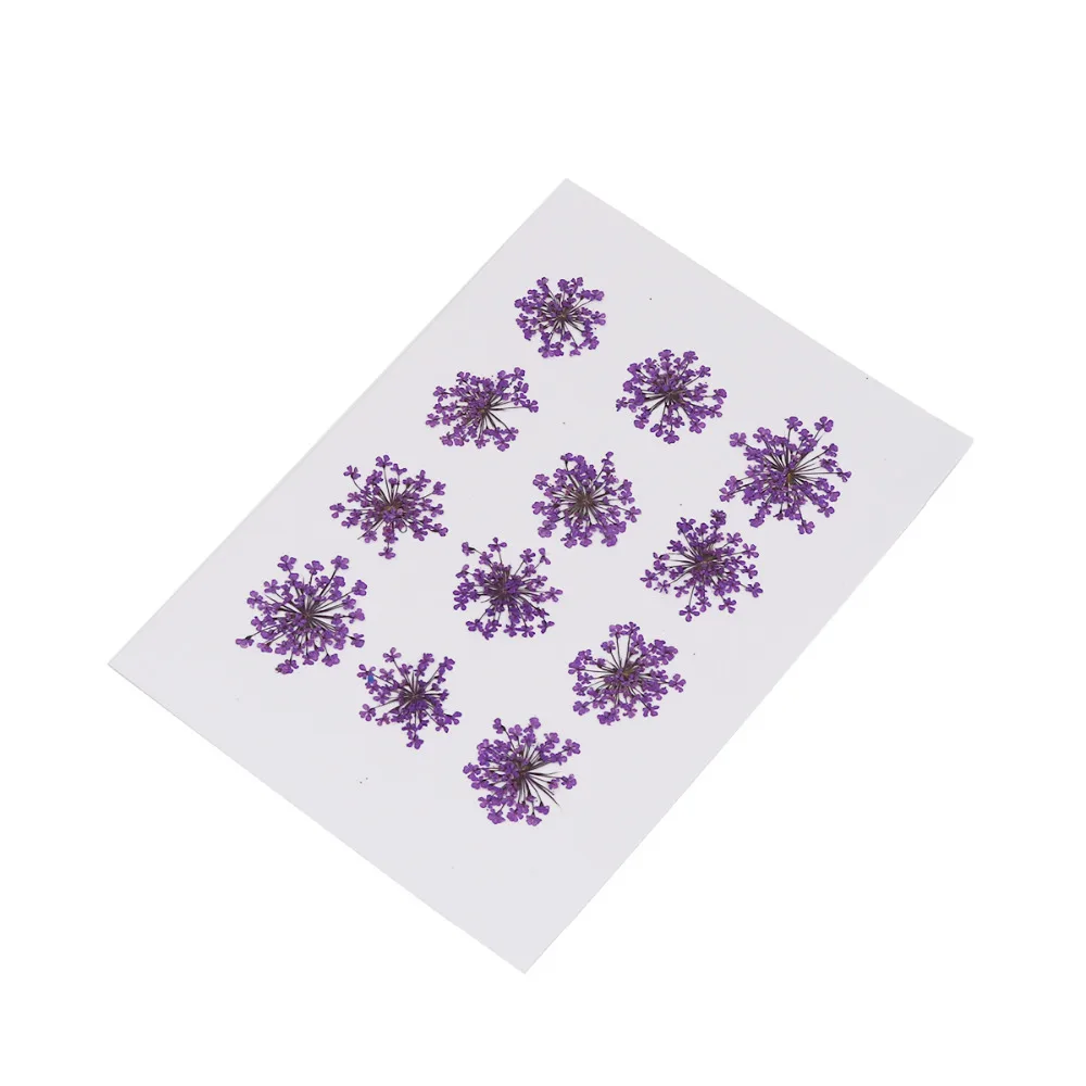 

DoreenBeads, настоящие сухие цветы, полимерные ювелирные изделия, сделай сам, ручная работа, зеленый цвет, 27 мм x 27 мм-17 мм x 17 мм, 1 упаковка (12 шт/упак...