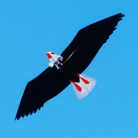 free shipping white eagle kite handle line kite surf for adults kites kids flying toys windsocks bird kites