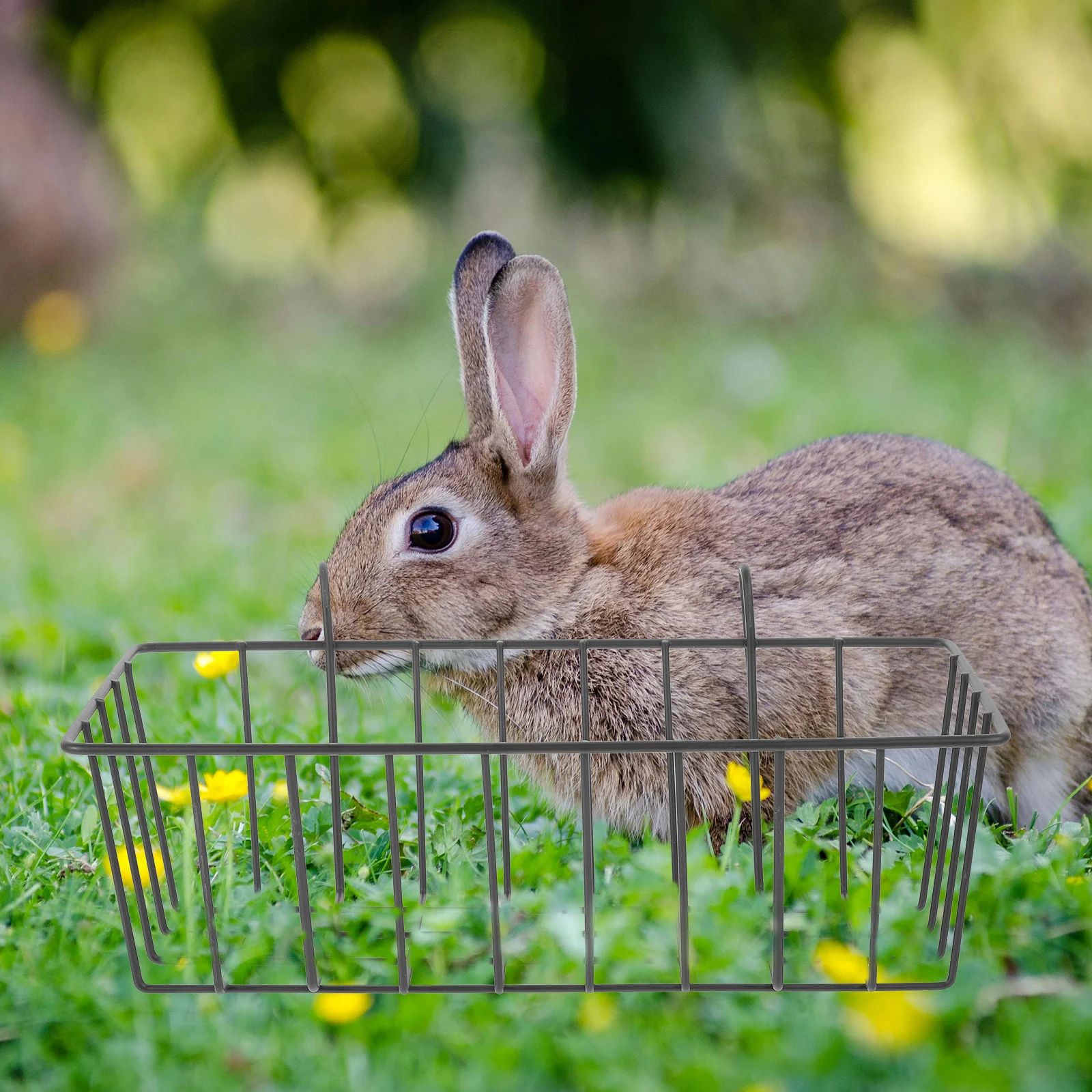 Стойка для сена кроликов стеллажи кормления аксессуары морской свинки кормушки