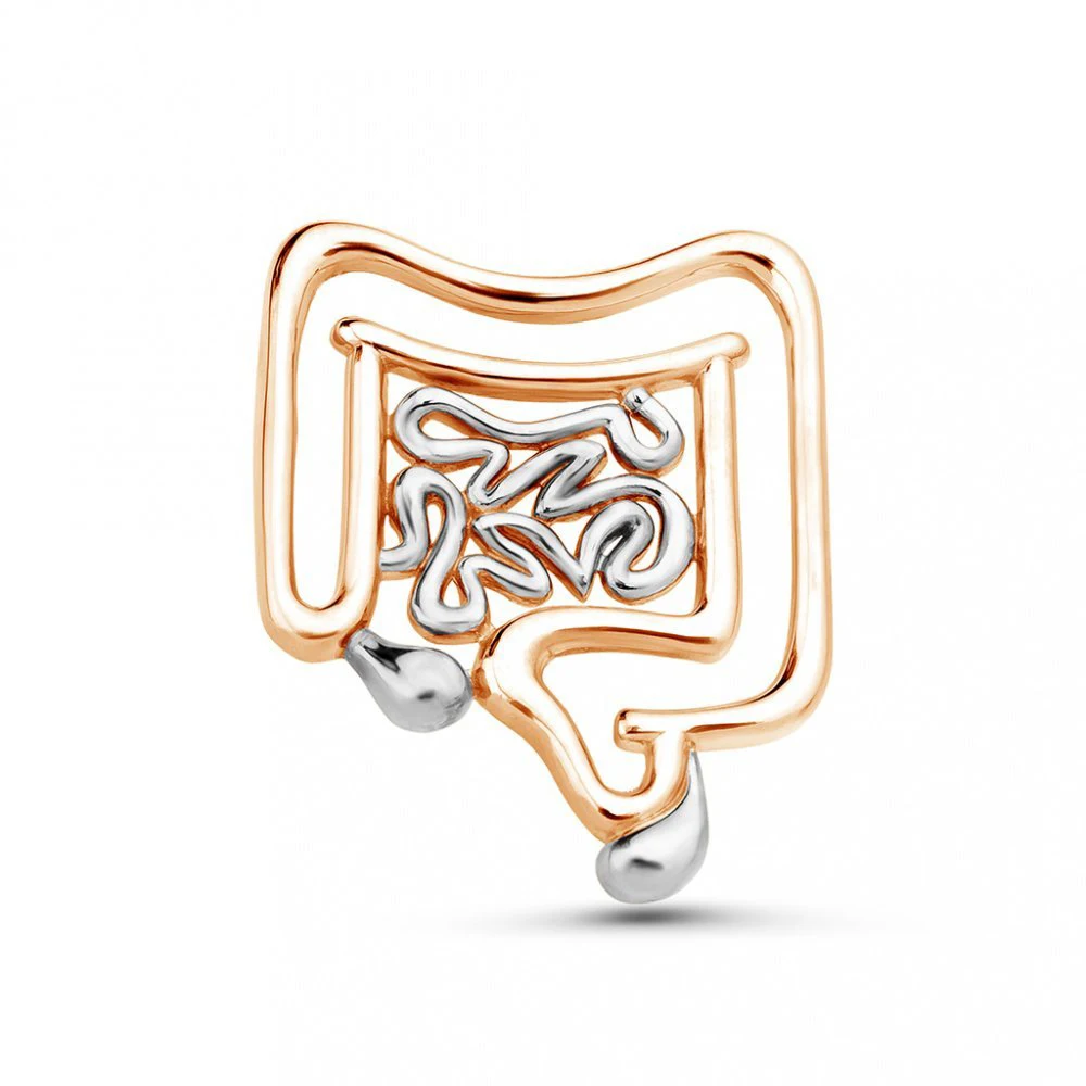 Медицинская брошь для кишечника Hanreshe пищеварительная система медицина