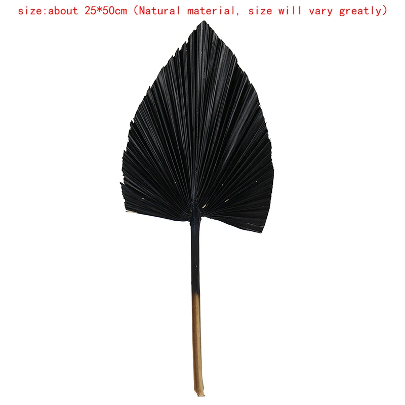 Веер в нордическом стиле натуральный кошачий хвост сушеный цветок пальма