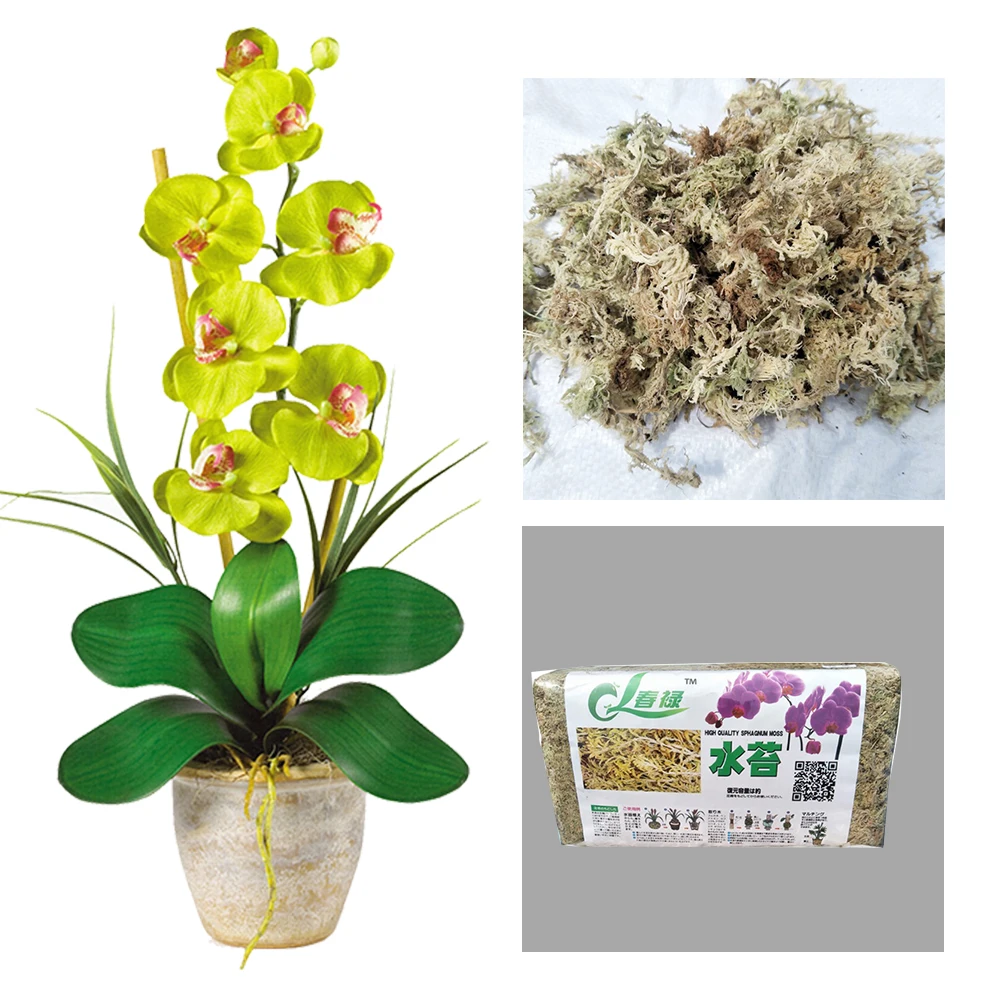 

6L 12L Nutrition Garden Supplies Home For Orchid Florist Organic Fertilizer Plants Practical Moisturizing Sphagnum Moss Durable