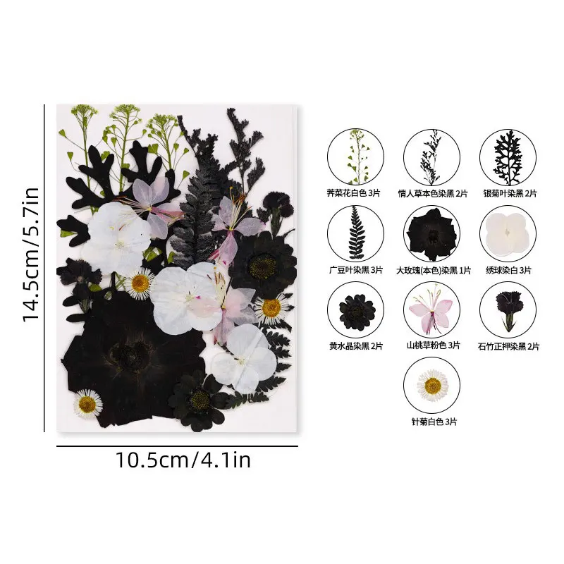 

Набор сушеных цветов для ювелирных изделий