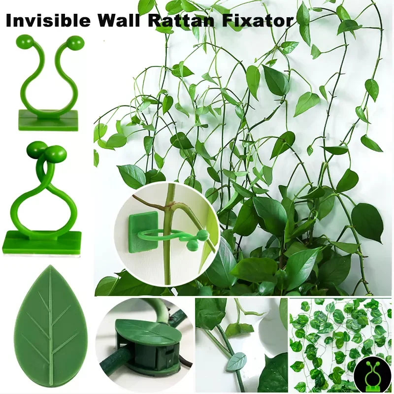 

Wall Rattan Clamp Plant Climbing Wall Self-Adhesive Fixator Vine Buckle Hook Rattan Fixed Clip Bracket Plant Stent Sup