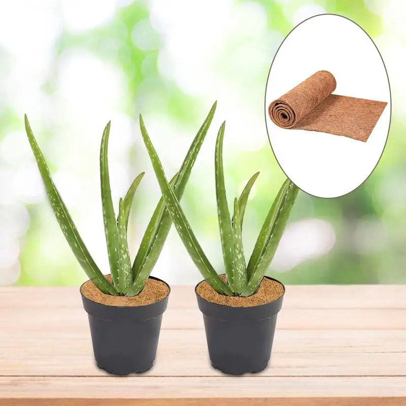 

Коврик для рептилий из кокосового волокна, ковер с подкладкой из натуральной кокосовой пальмы, нескользящий, для украшения сада