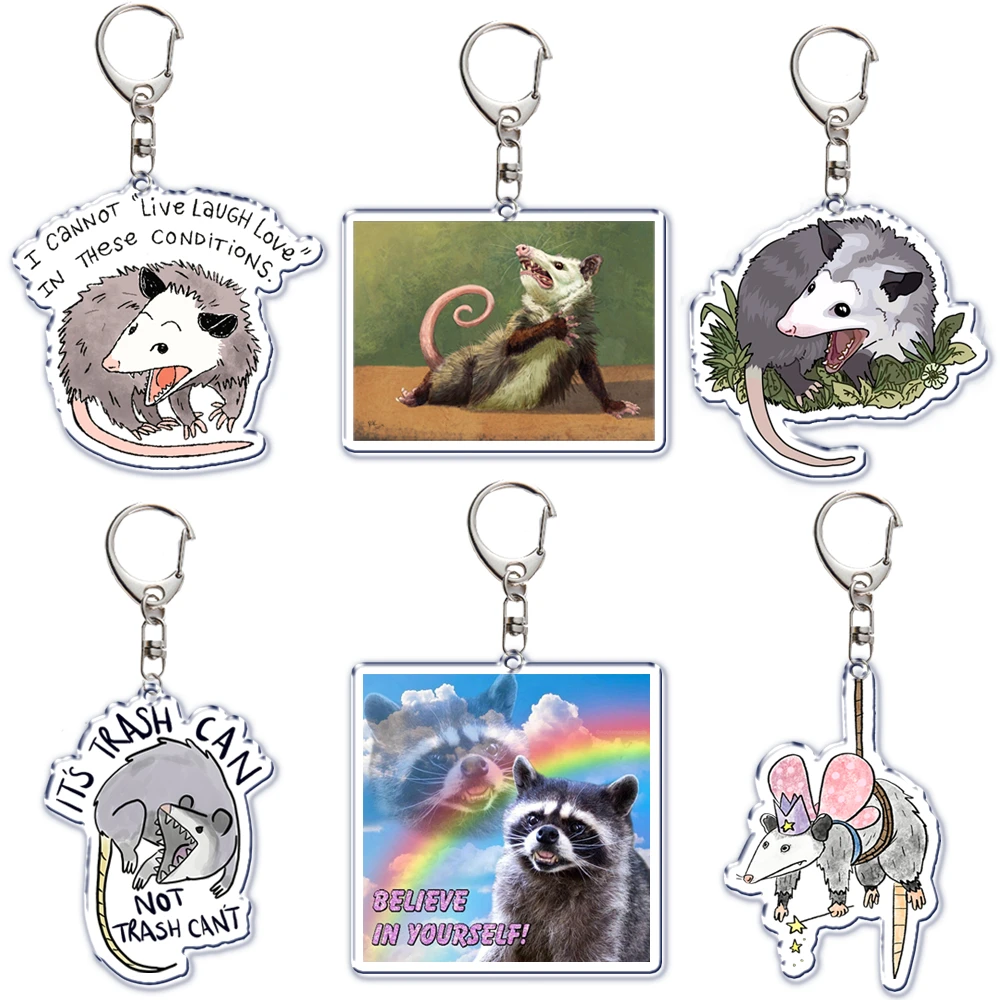 

Cute Cartoon Animal Keychain Opossum Raccoon Fox Acrylic Key Chain Pendant Key Ring Keychains for Bag Pendant Aaccessories Gift