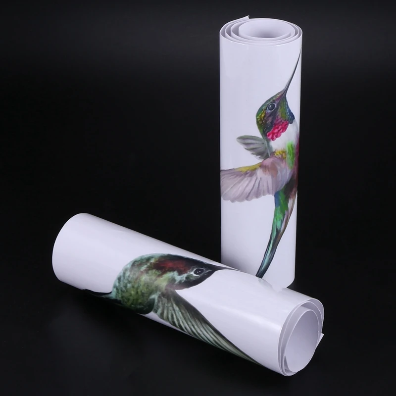 8. большие красивые колибри статические липкие птицы наклейки на окно