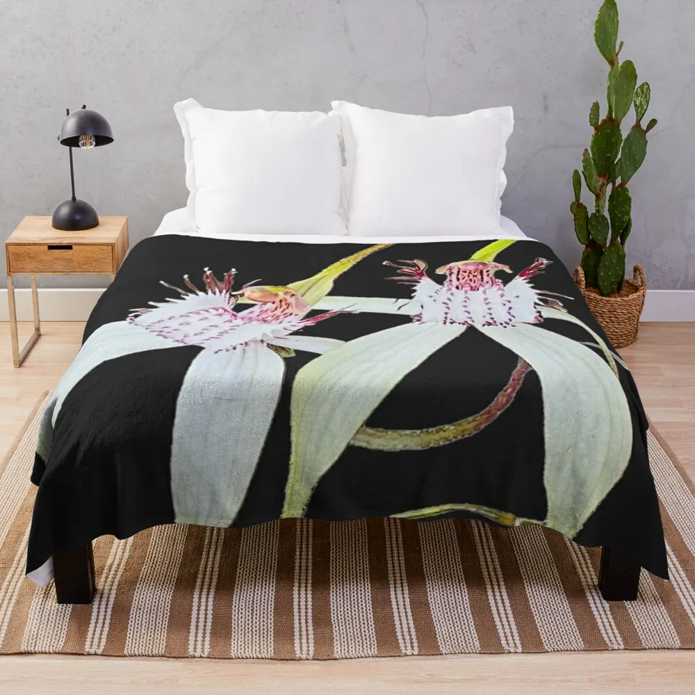 Пауковые орхидеи significance Западная Австралия пледы роскошные дизайнерские