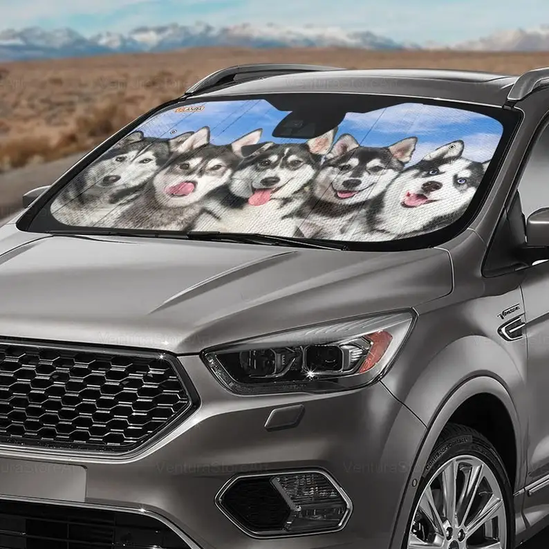Рисунок 3 - Автомобильный солнцезащитный козырек Husky