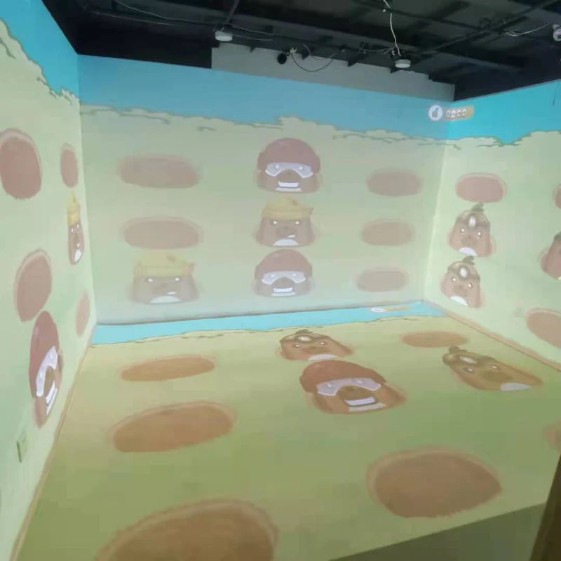 

Advertising equipment interactive floor projection system BASIC version