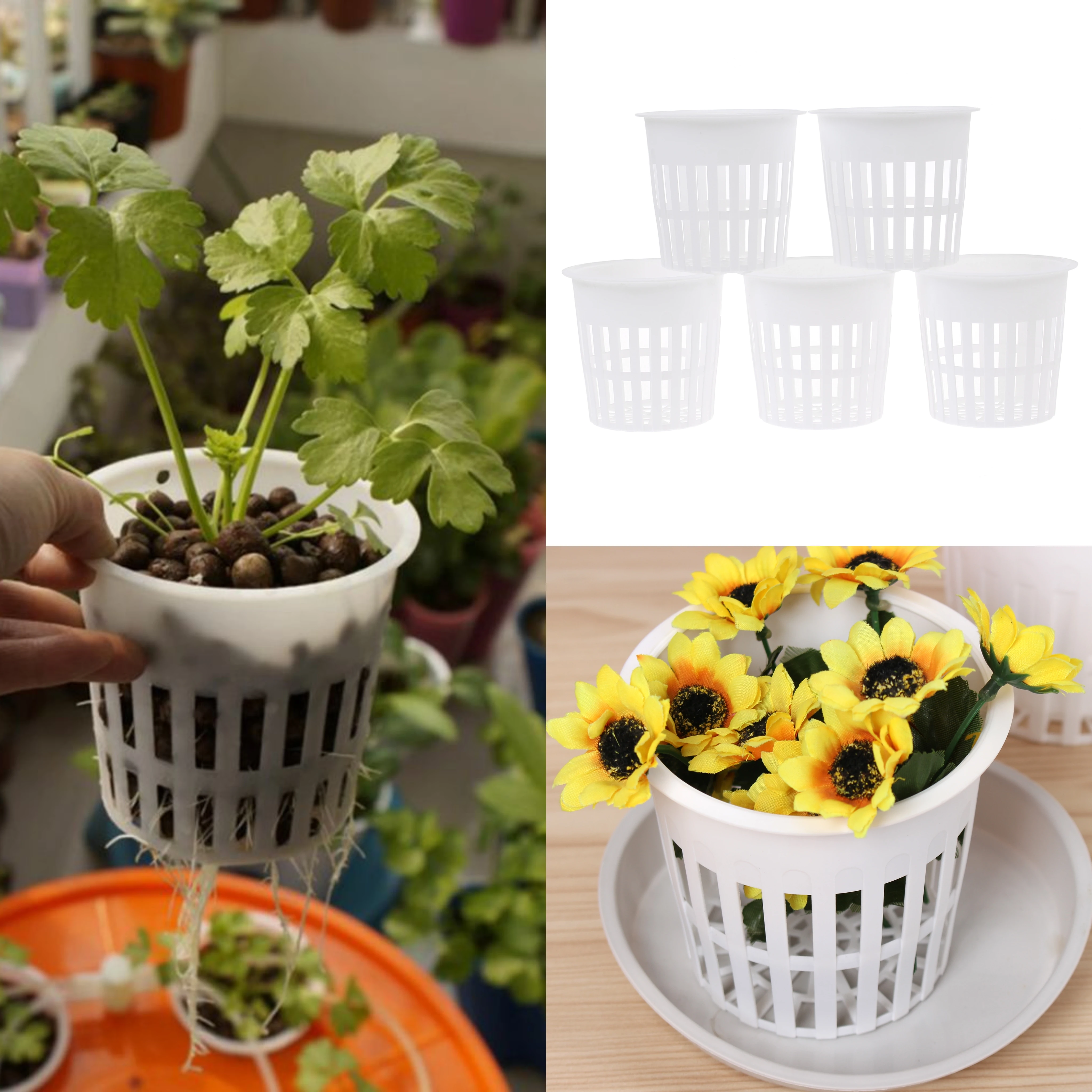 

Black Hydroponic Colonization Mesh Pot Net Cup Basket Hydroponic Planting Grow Clone Nursery Plant Soilless 2022 Accessories New