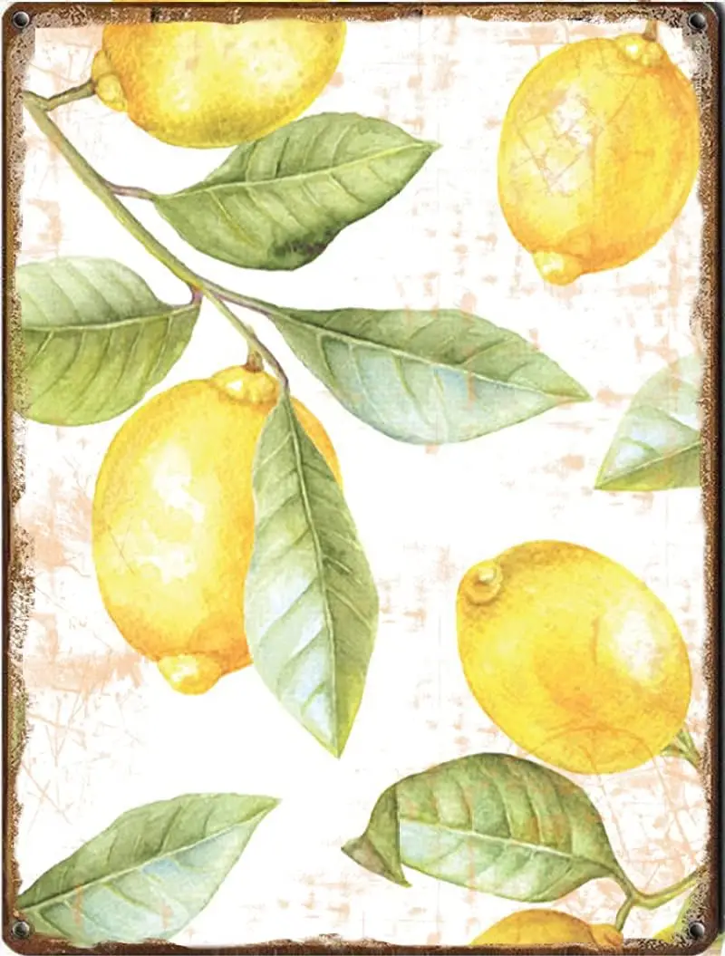 

Lemon Wall Art Fruit Wall Art Kitchen Wall Decor Lemon Slice Housewarming Retro Tin Sign Farm Country Cottage Wall Decoration