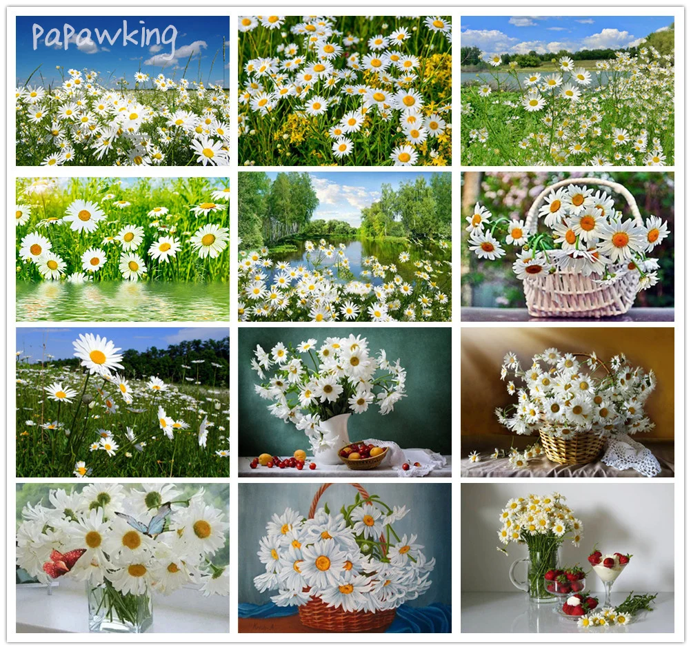 

Full Diamond DIY Scenery Diamond Painting Small White Daisies Flower Art Cross Stitch Kit Home Mosaic Embroidery Wall Decor