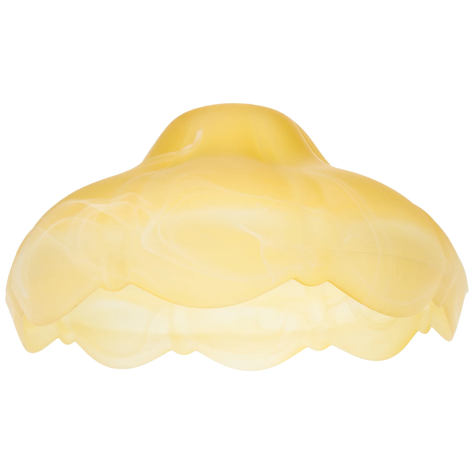 

Glass Lamp Shade Accessory Protective Lamp Shell Frosted Glass Lamp Shade