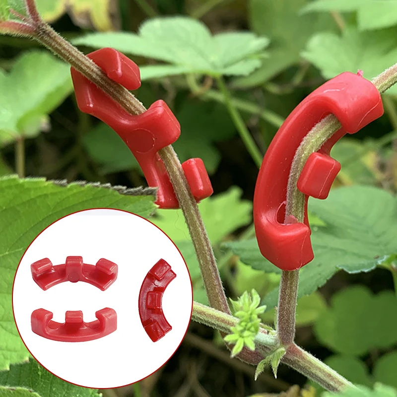 

10 шт., Мундштуки для растений, 90 градусов