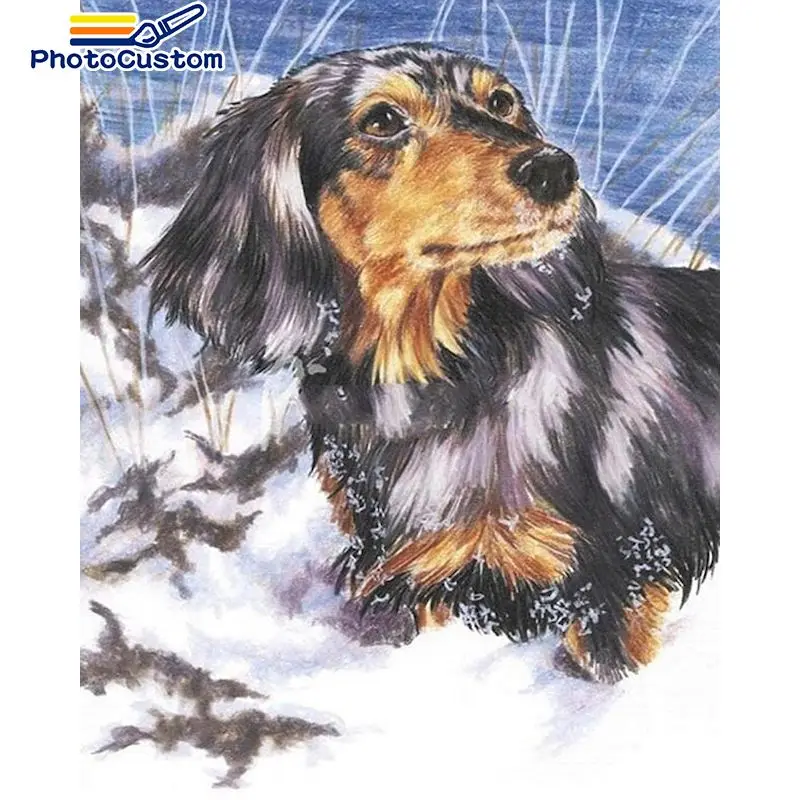 

PhotoCustom Painting By Number Dog Drawing On Canvas Hand Painted Paintings Art Gift DIY Pictures By Numbers Animals Home Decor