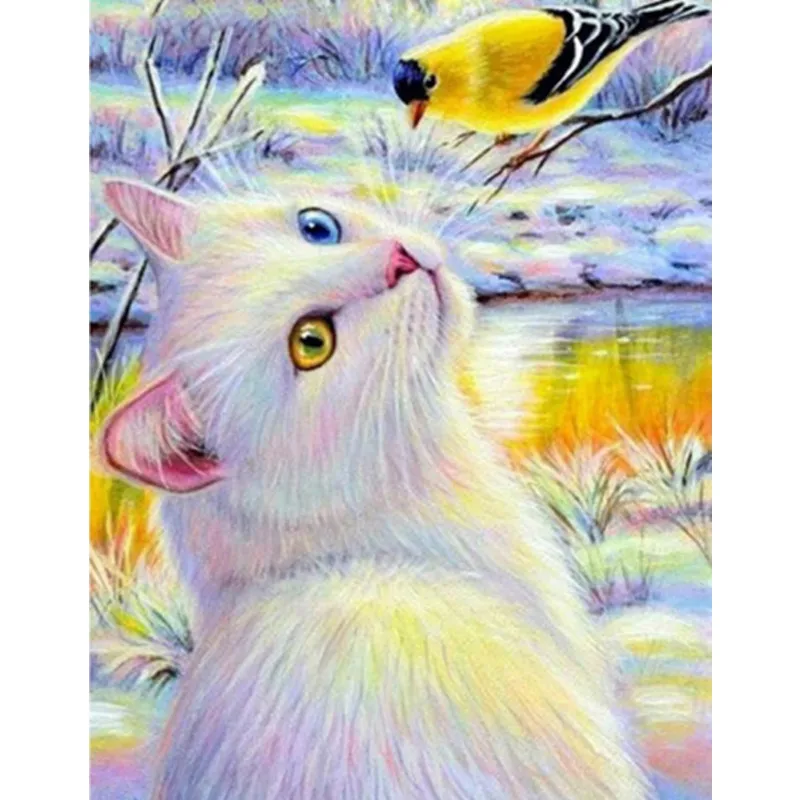 

Diamond Painting Animal Cat Bird 5d Diy Mosaic Full Square Round Drill Diamant Of Rhinestone Daimond Embroidery Pictures