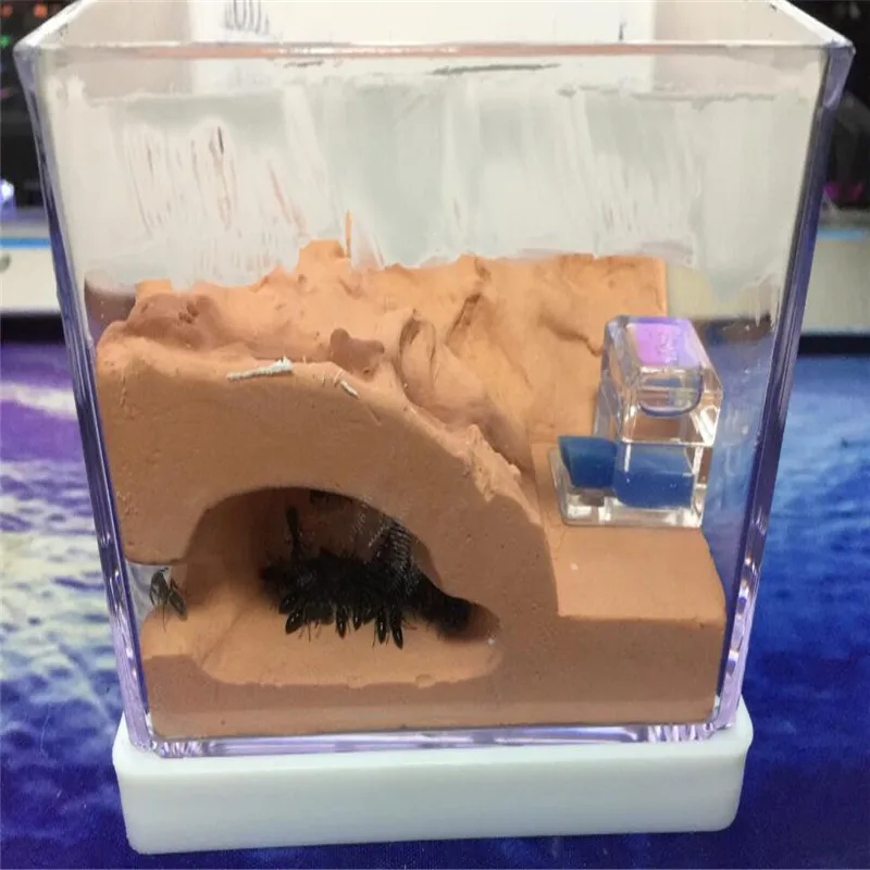 

Laminated Ecological Ants Nest Size 10x8x8CM Mini Ants Villa Farm Keep Moisture Long Time Kids Birthday Gifts Toys Insect Cages