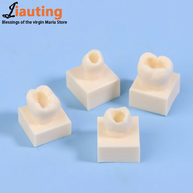 8 шт./компл. стоматологическая задняя студенческая тренировочная тестовая модель