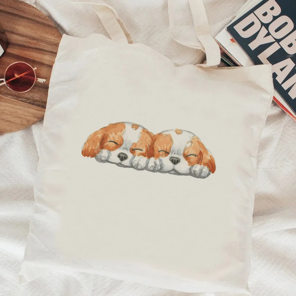 Собака кавалер Кинг чарльз спаниель