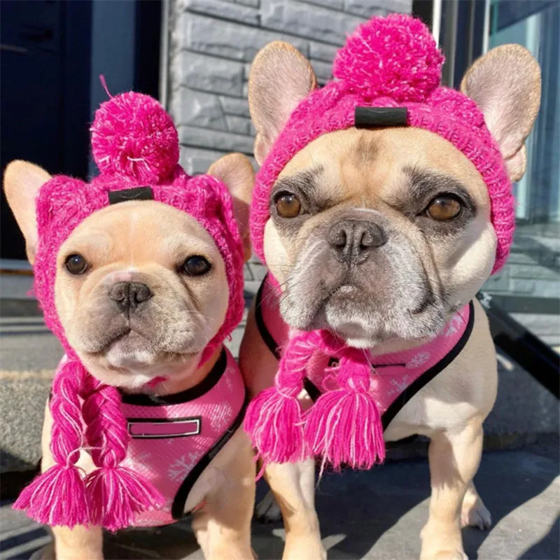 

Fashion Autumn and Winter Fur Ball Keeps Warm and Windproof Puff Ball Knitting Method Dog Hat Hot New Pet Headgear