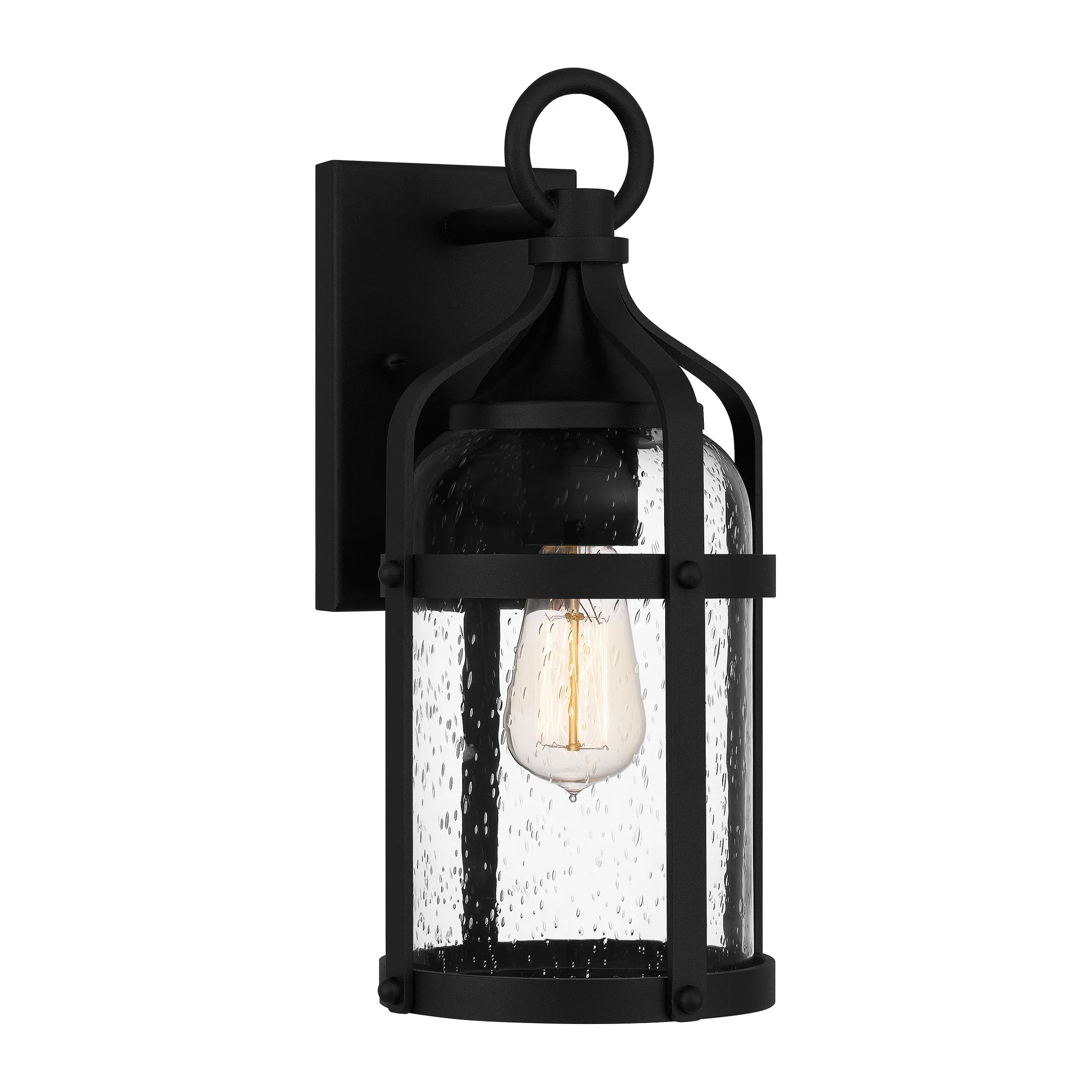 Payce 1-Light Earth Black Outdoor Wall Lantern