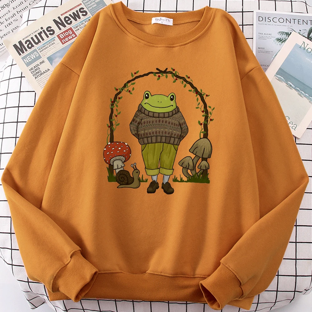 

Dark Academia Goblincore Frog In Hipster Clothes Female New Hip Hop Pullover Autumn Casual Sweater Loose Trendy Women Streetwear