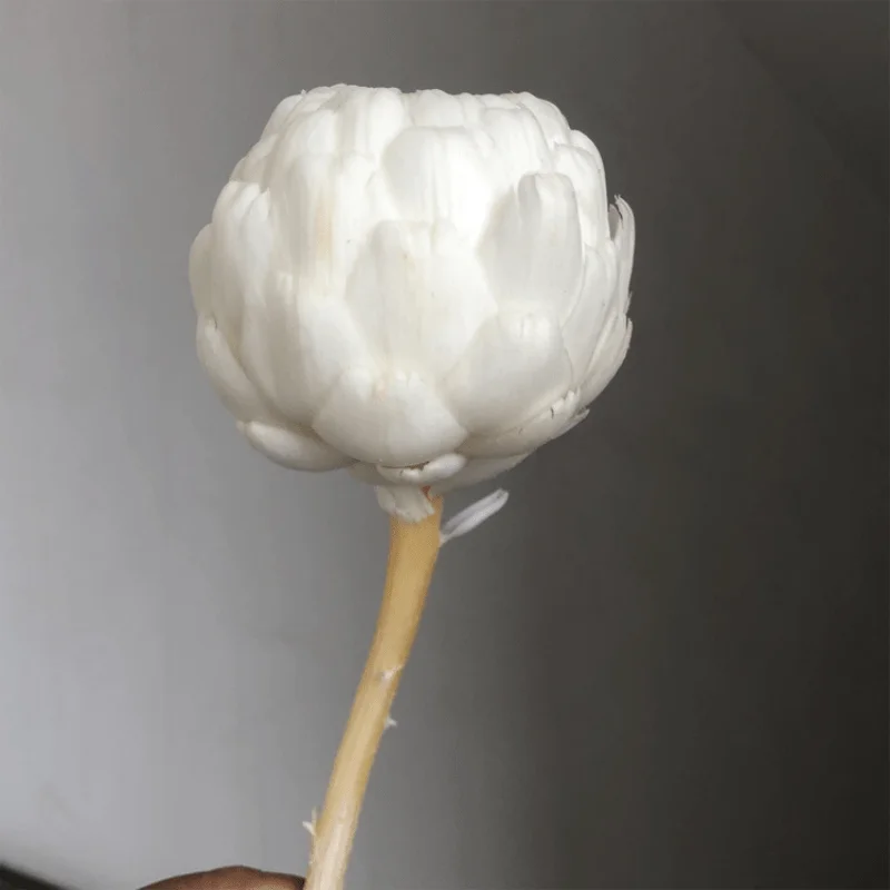 

Dried Snow Lotus Flower Floral Bouquet Home Decoration Table Garden Ornament Wedding Party Gift Home Supplies Photo Prop