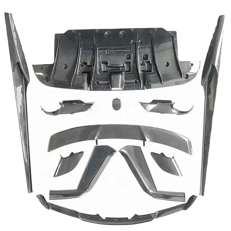 Kohlefaser-karosseries-наборы im Novite Ross-стильные передние штампованные легкие штампы Ferra 488