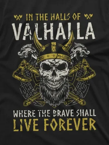 Мужская футболка с изображением зала Вальгаллы шлем черепом Скандинавская