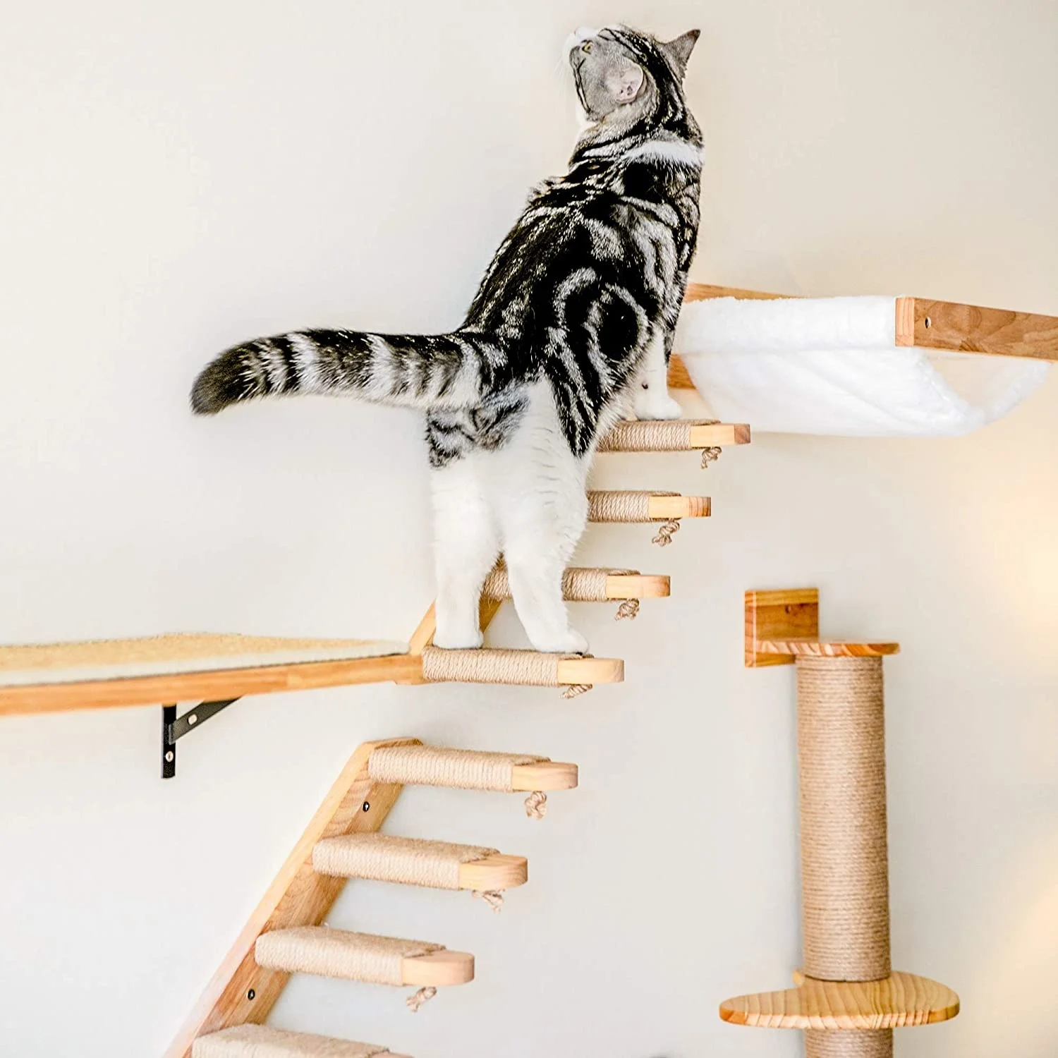 Настенный гамак для кошек, кровать для домашних животных, мебель для котят,  стена, искусственный кошачий окунь, деревянная Когтеточка для скалолазания,  башня для кошек | AliExpress