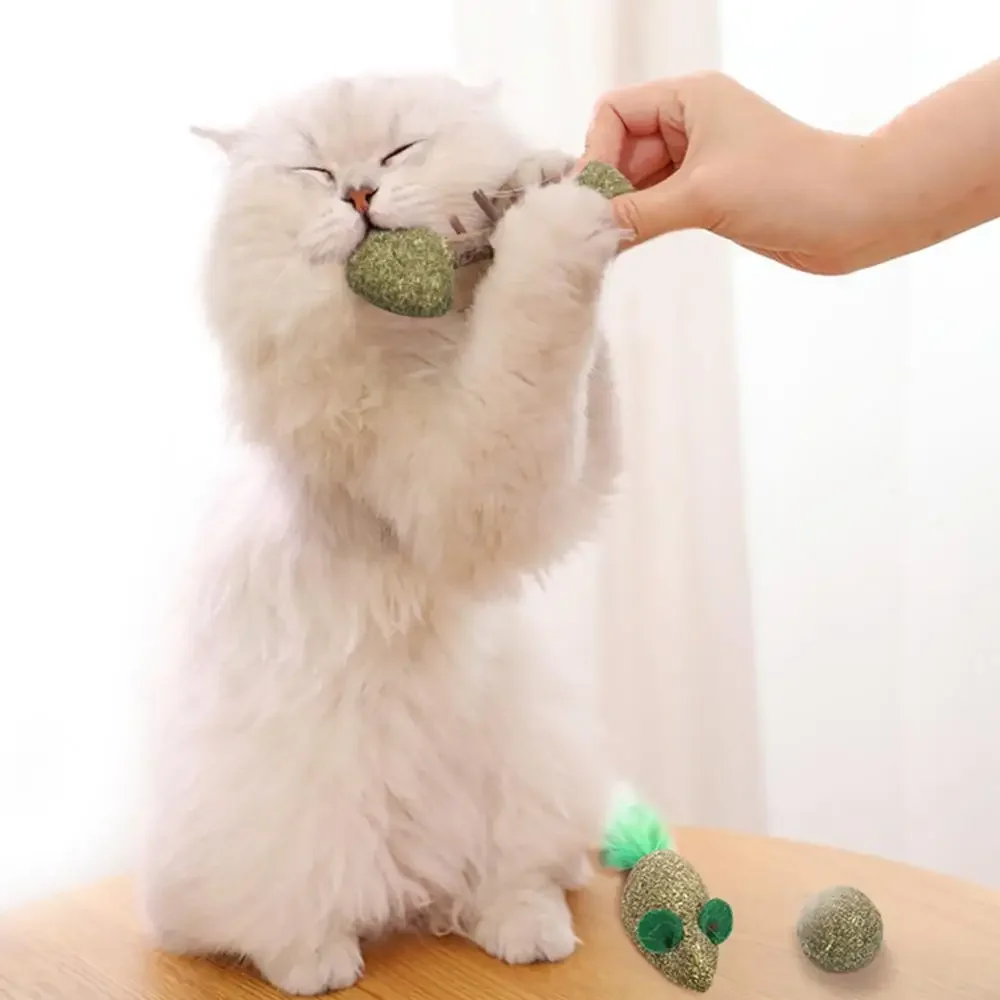 Интерактивные игрушки из кошачьей мяты для дома животные как кошки котята матаби