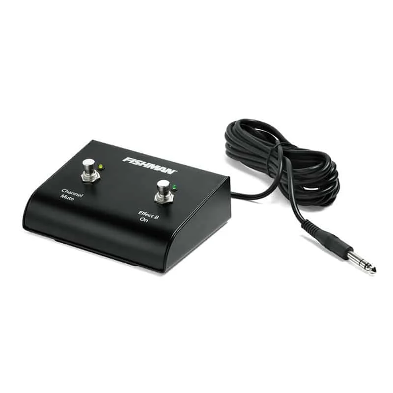 Loudbox Dual Ножной переключатель Fishman | ACC-LBX-FSW Спорт и развлечения