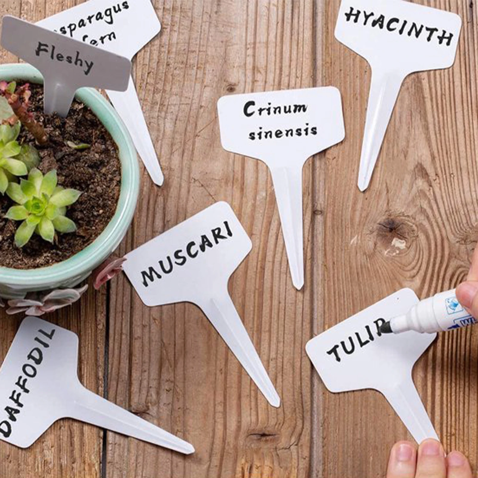

50pcs Reusable Plant Tag Vegetables Fruits Nursery Outdoor Waterproof Herb Signs Garden sign For Yard & Garden Decor
