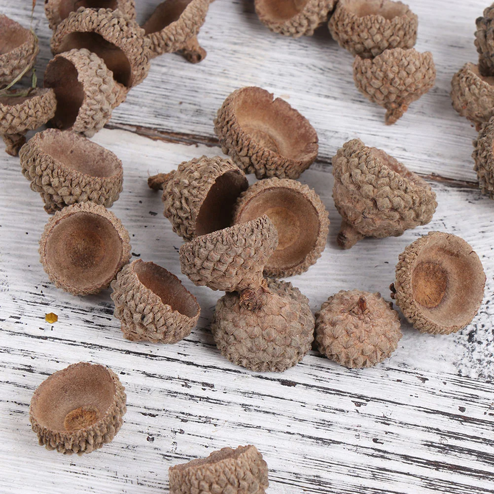 

Acorn Ornaments Christmas Decorations Natural Caps Tree Artificial Acorns Ornamentfruit Craft Mini Thanksgiving Vase Pine Filler